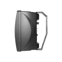 Настенная акустическая система CleverMic SW31 duo