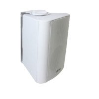 Настенная акустическая система  CleverMic SW30